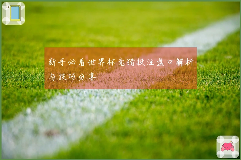 新手必看世界杯竞猜投注盘口解析与技巧分享