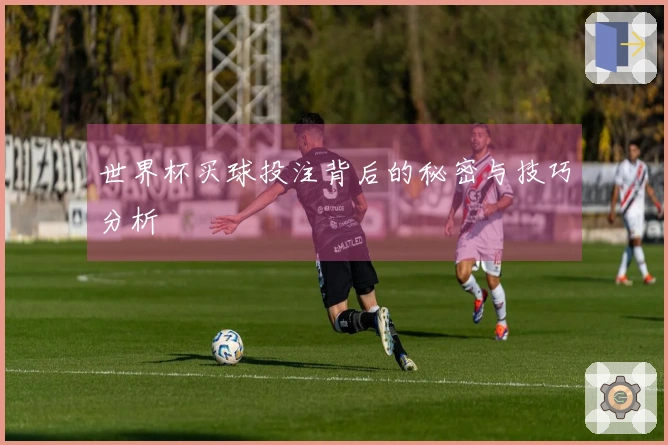 世界杯买球投注背后的秘密与技巧分析