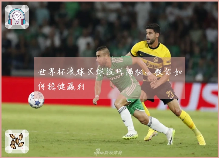 世界杯滚球买球技巧揭秘，教你如何稳健赢利