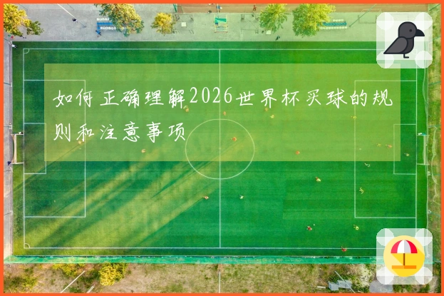 如何正确理解2026世界杯买球的规则和注意事项